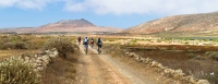 Mountain Bike Lanzarote