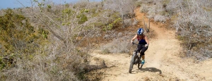 Mountain Bike Gran Canaria